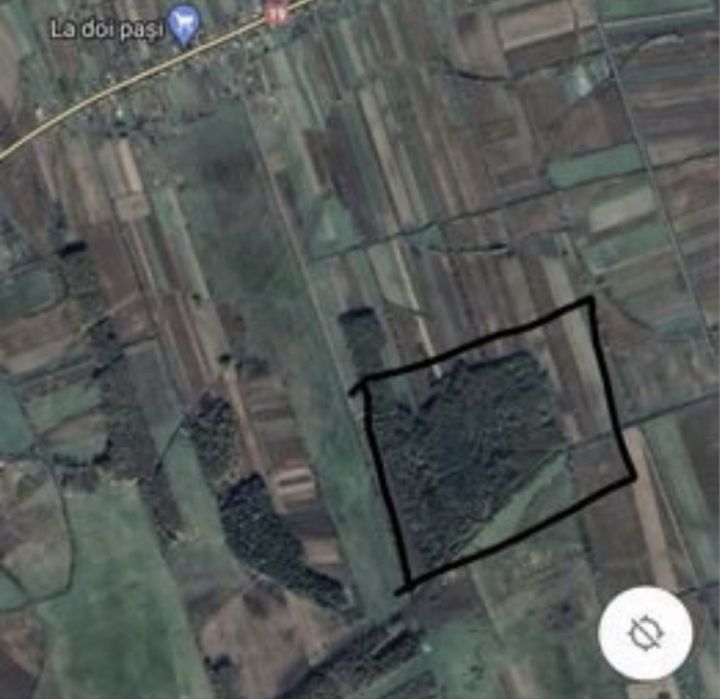 Padure langa Satu Mare 24 arii Ciuperceni