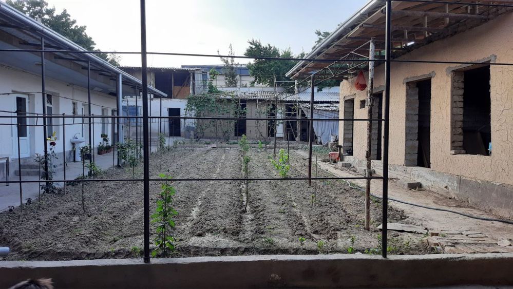 YunusObod oqtepa maxalla hovli sotiladi 1 sotixi 55000$