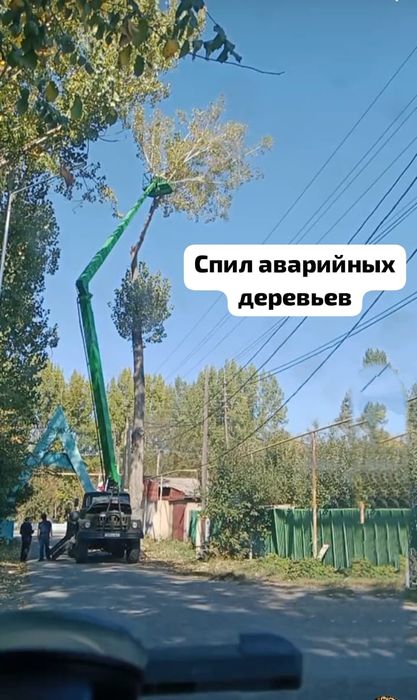 Пилим аварийные деревья!