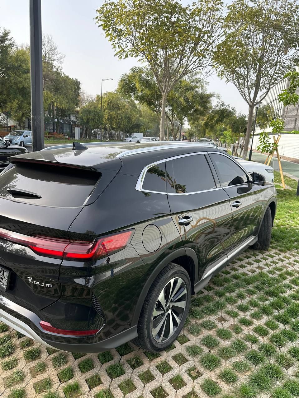 Byd cempion 605 km