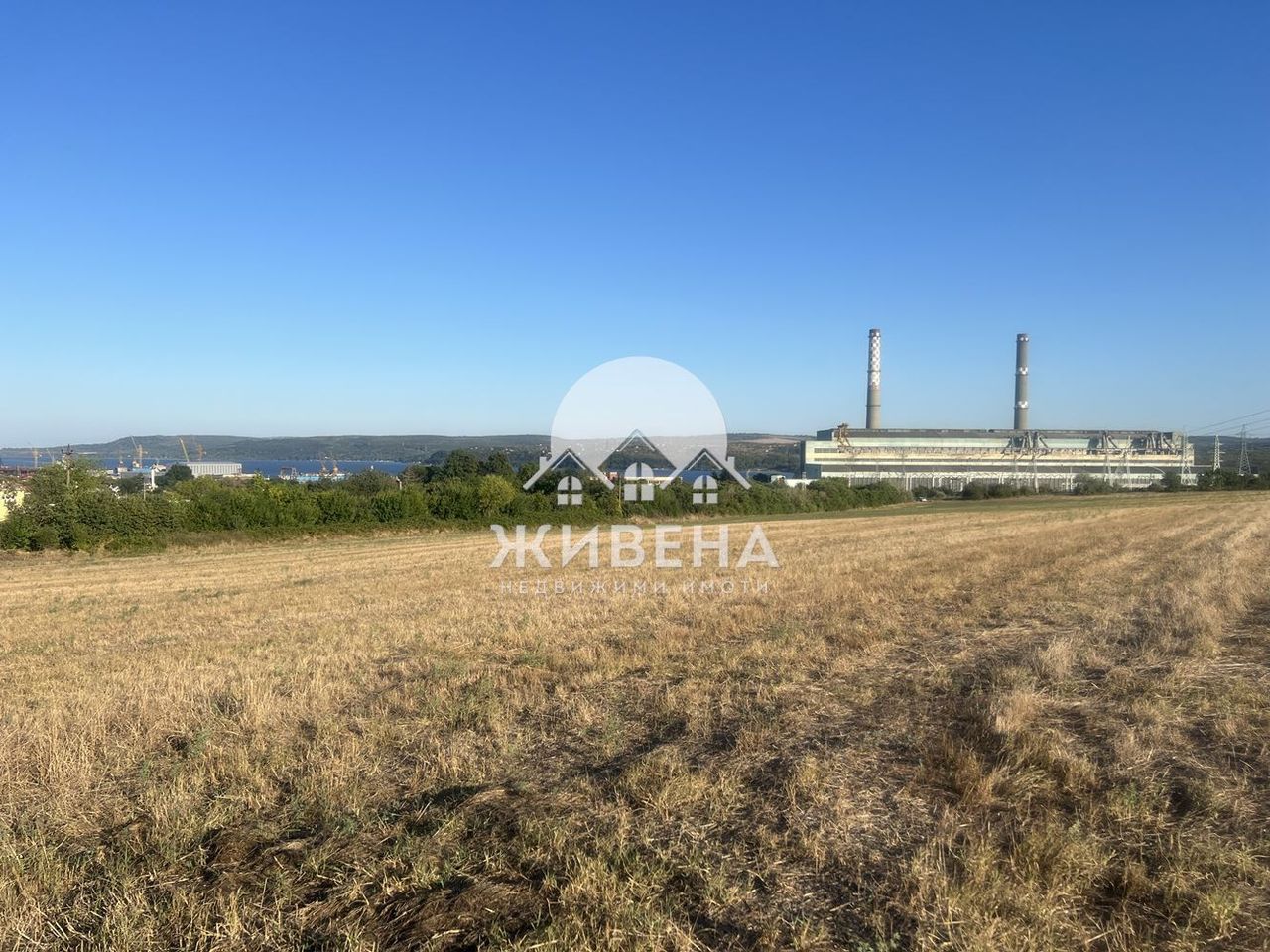Продава се Парцел в с. Езерово, Област Варна - 8506 кв.м за 16 €/кв.м - Снимка #5