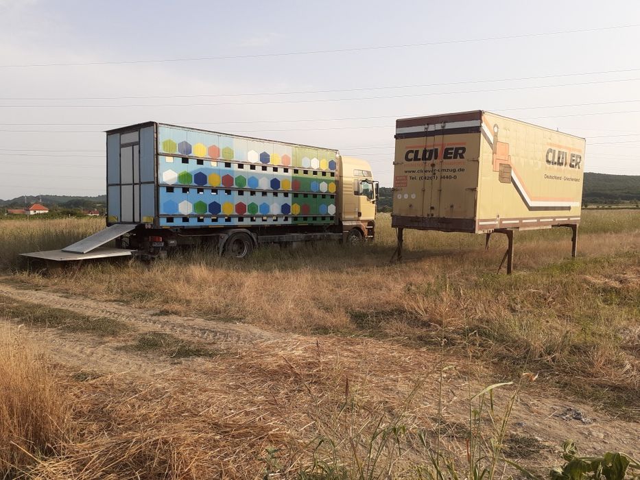 Vând 2 containere BDF