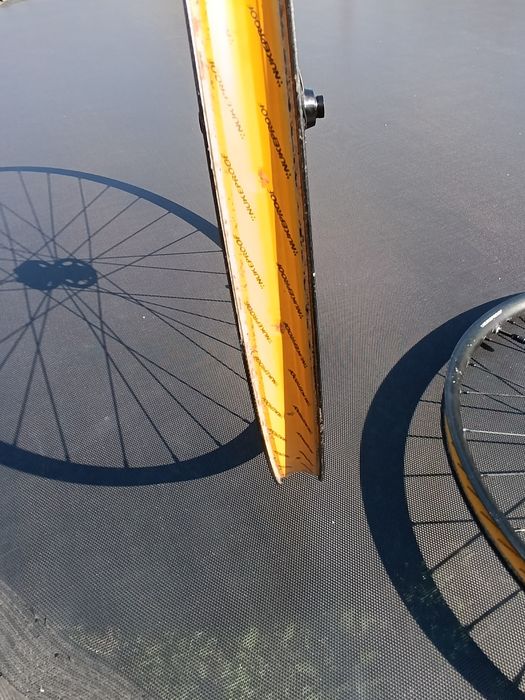 Roti nukeproof 29 fata, spate