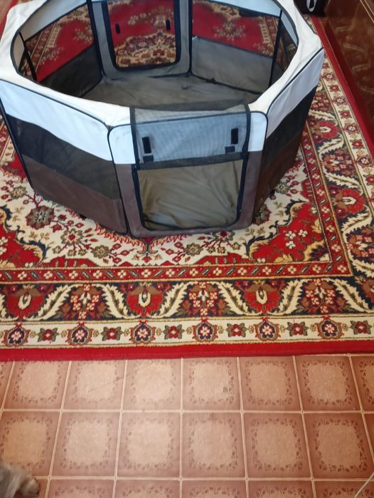 Манеж сборный для собачки