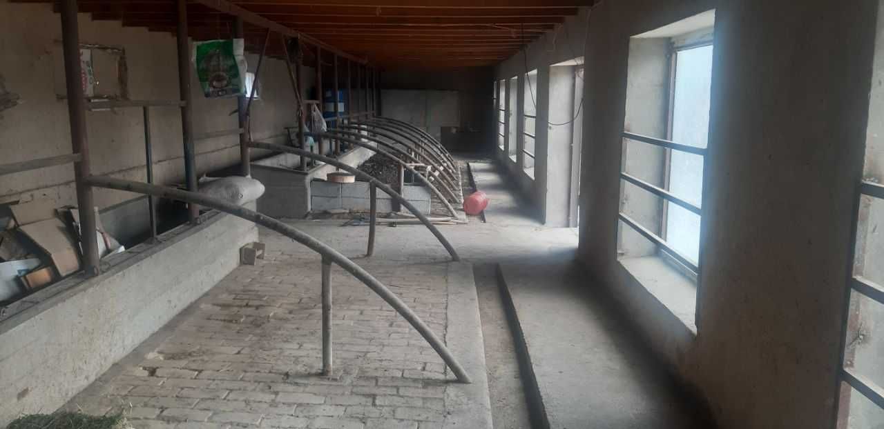 Meva sabzavotlarni quritish va saqlash sex binosi sotiladi