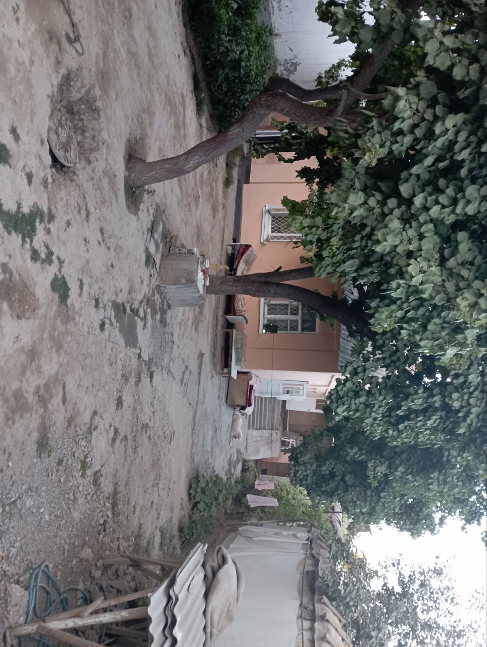 Янгийул шахриди Уй сотилади
