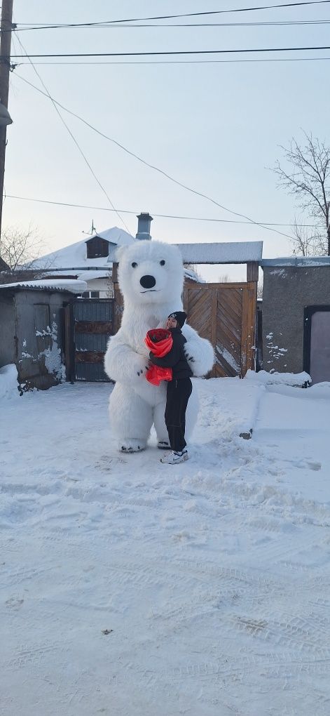 Ростовые куклы! Медведьпанда,зайцы!Весёлые запоминающиеся поздравления