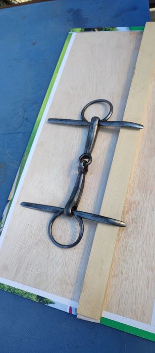 Zăbala cal, echitație