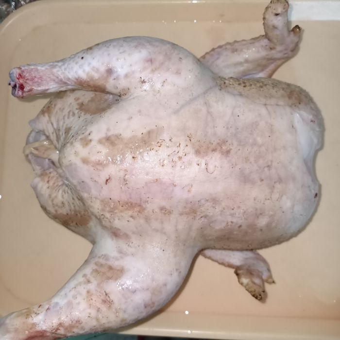 Продам мясо бройлеров в г.Костанай