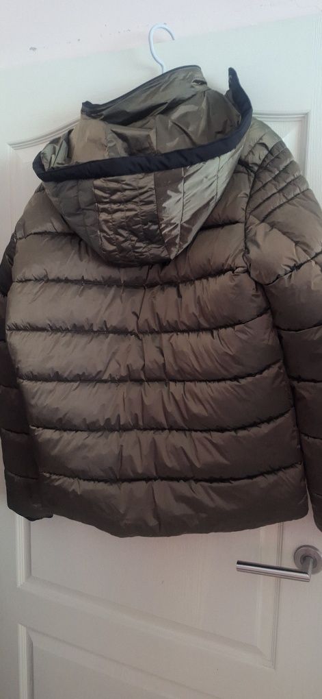 Мъжко пролетно зелено яке Xl