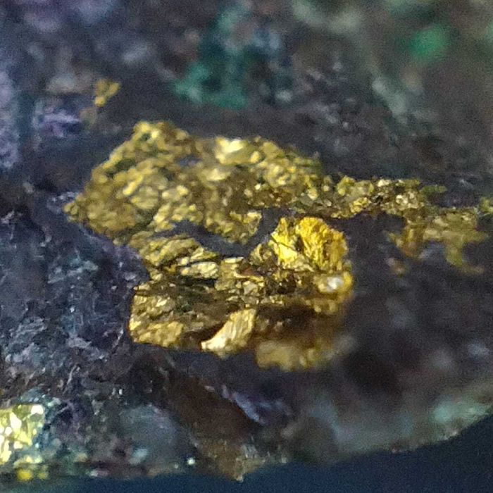 Месторождения золота, нефти и газа в России и Казахстане