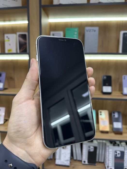 iPhone 12 Pro Max / PhoneLab