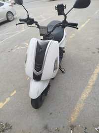 Raptor Moped 150cc