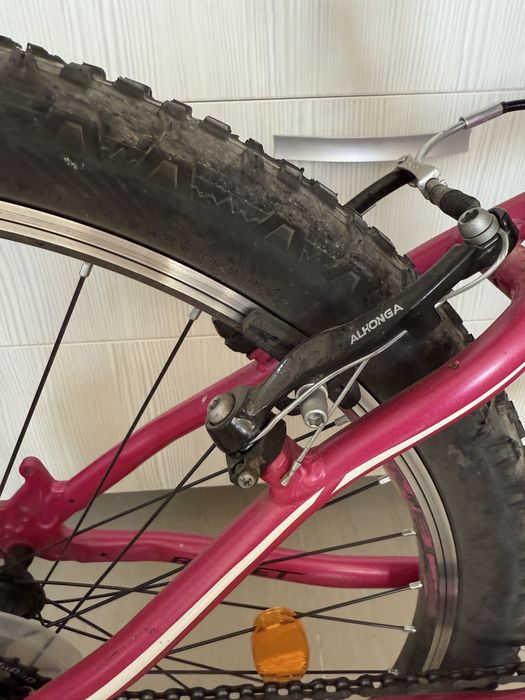 Bicicleta pentru femei