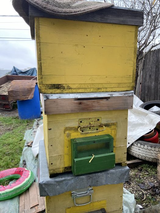 Vand cutii de albine