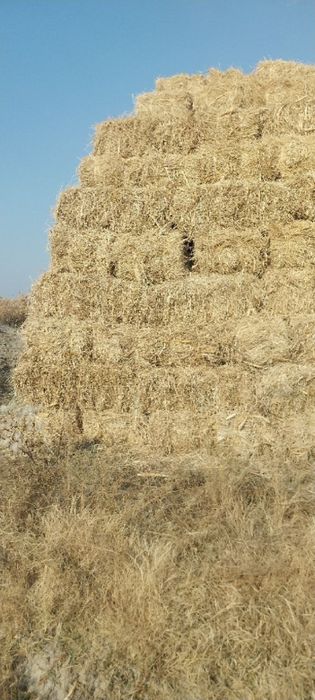 Жугори прес сотилади