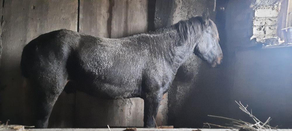 Срочно Продается!!!