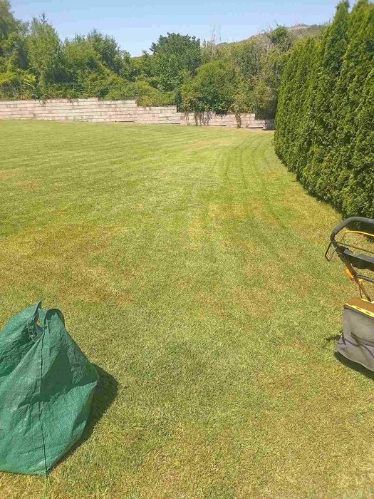 Професионално почистване и поддръжка: дом, двор, басейн, тревни площи