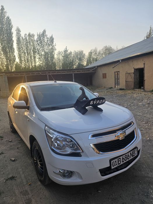 Cobilt  2023 kraska toza