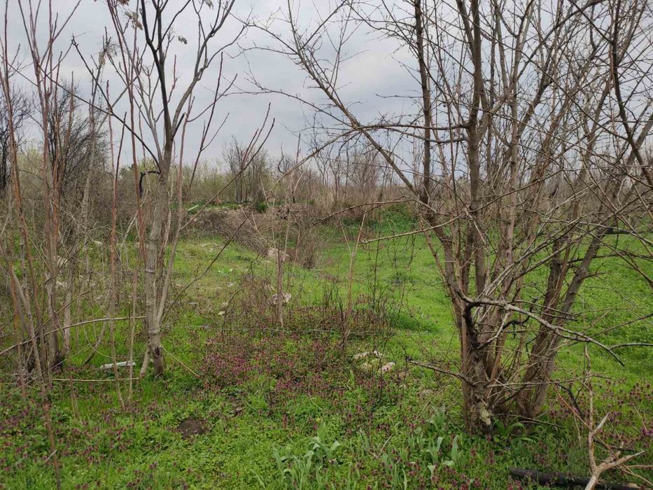 Продавам УПИ в с. Снежина, общ. Провадия 4 дка