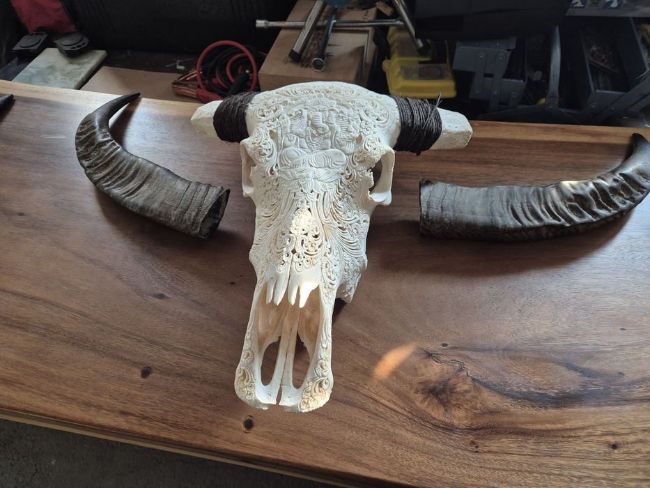 УНИКАЛЕН! Ръчно Гравиран Череп на Воден Бивол (Бали) | Ганеша и Мандал
