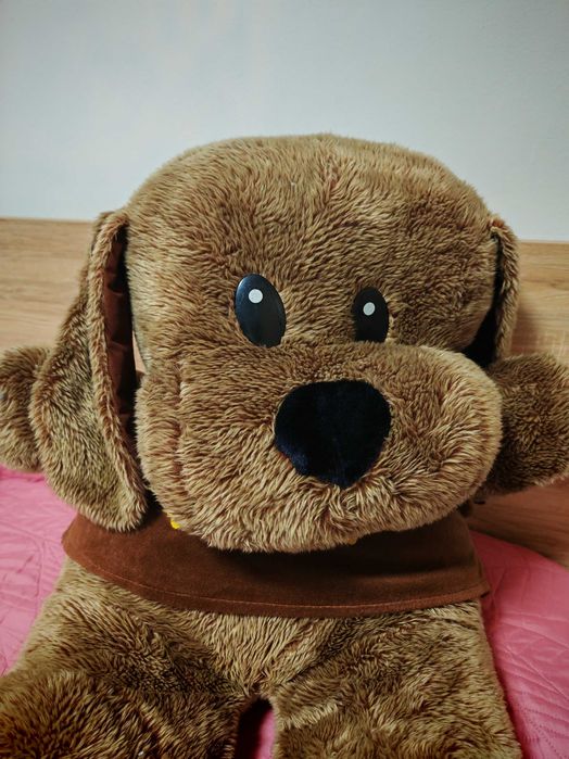 Catel foarte mare de plus