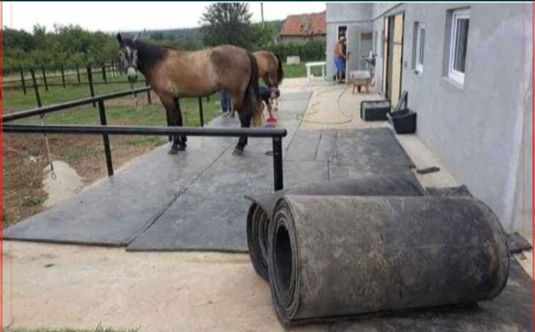 Bada de cauciuc preș pentru animale