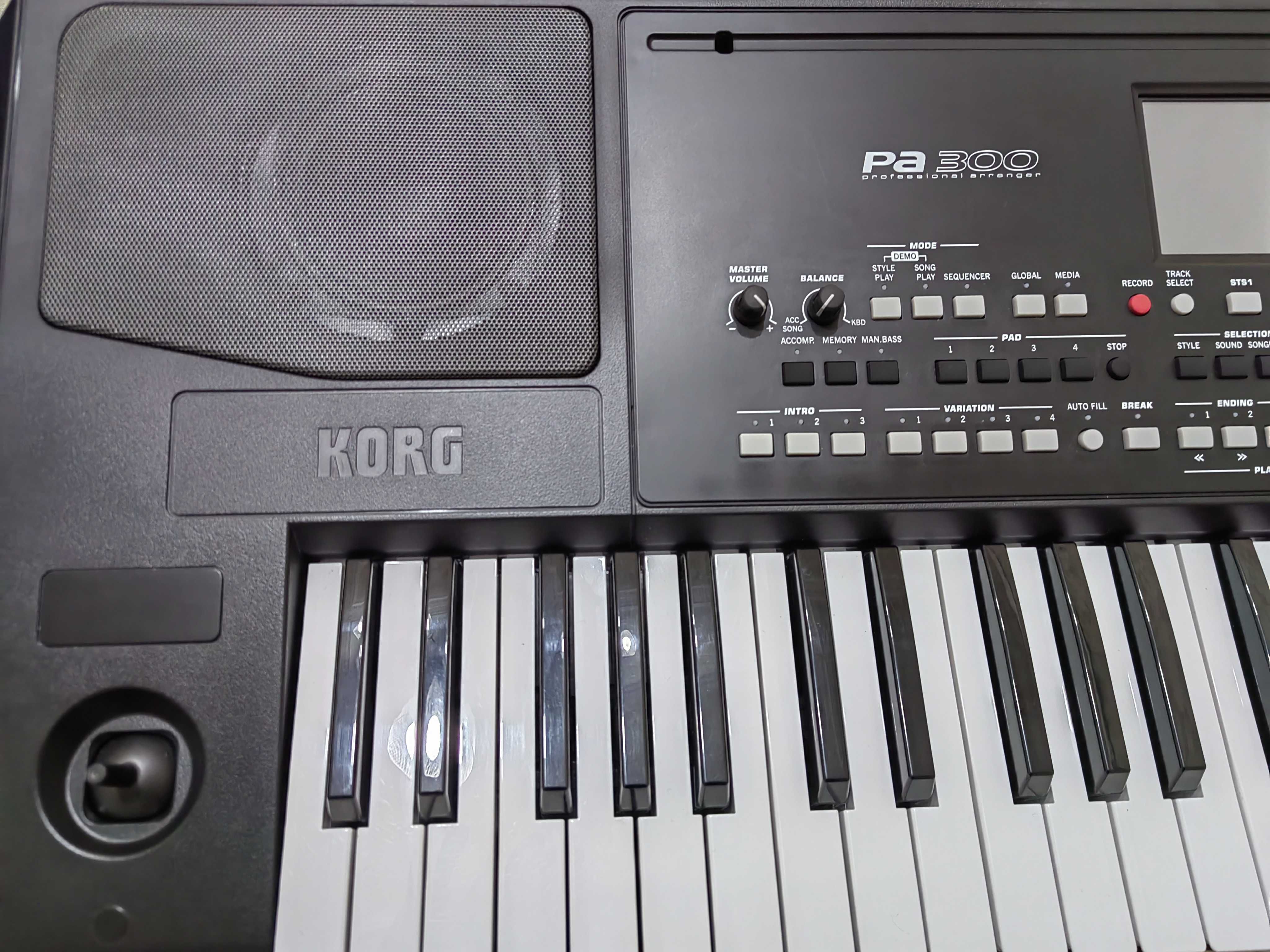 Корг па 300 korg pa 300