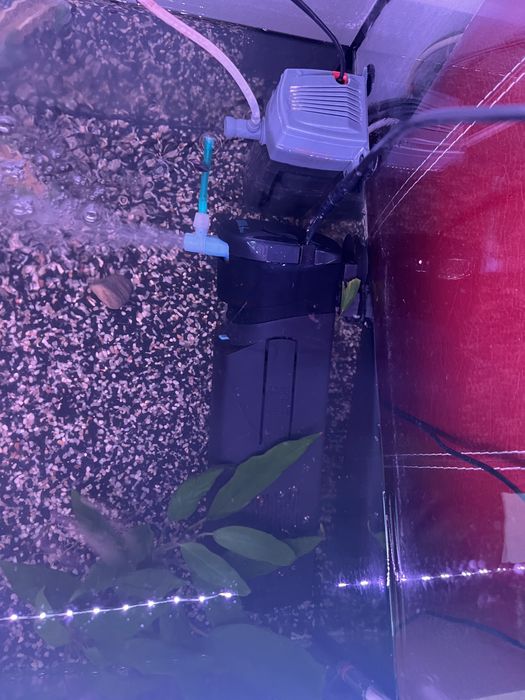 Vând acvariu complet utilat Garra Rufa