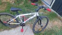 Bicicleta copil 10 ani