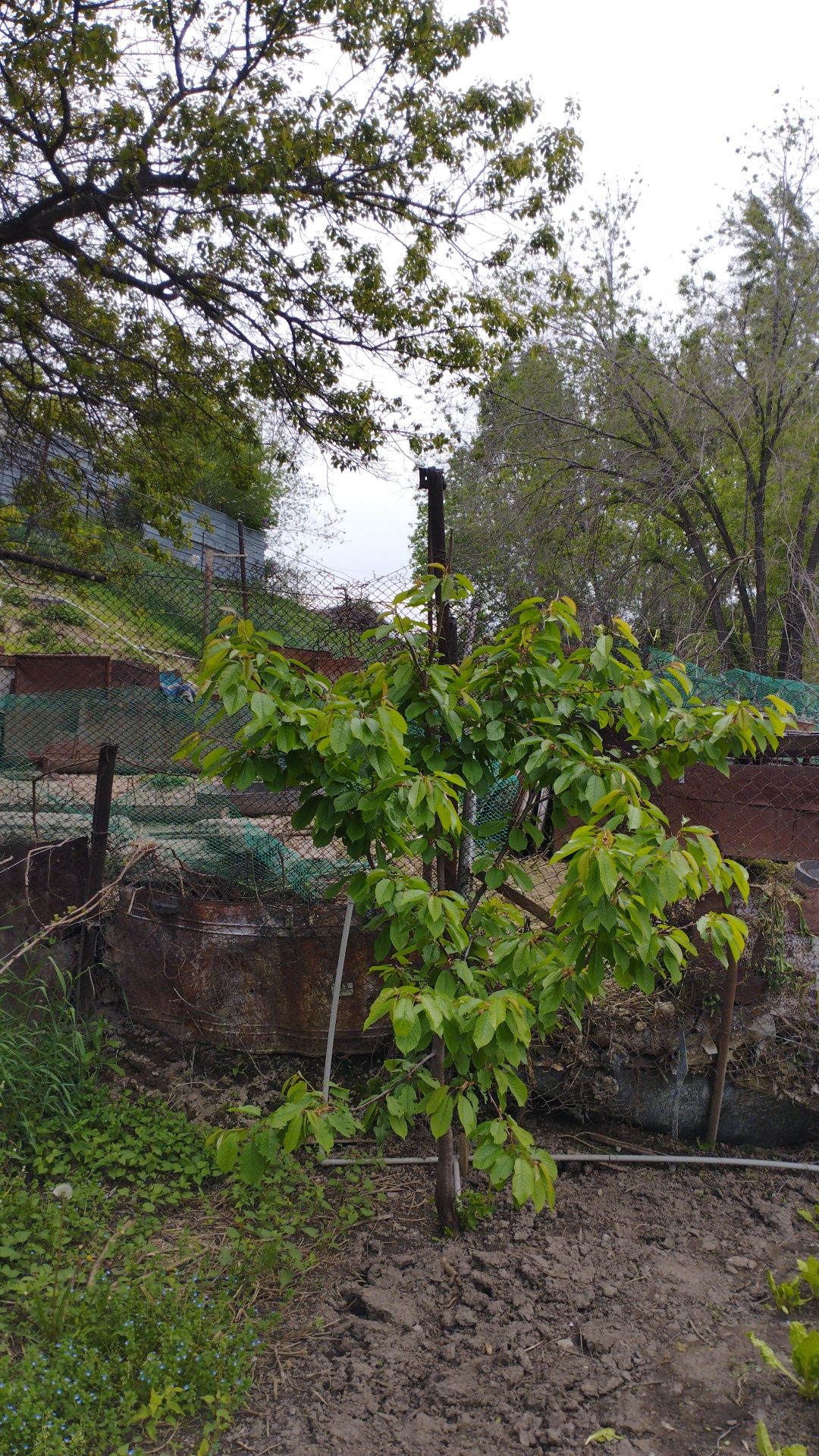 Продам дом мкр.Томирис Алатауский район