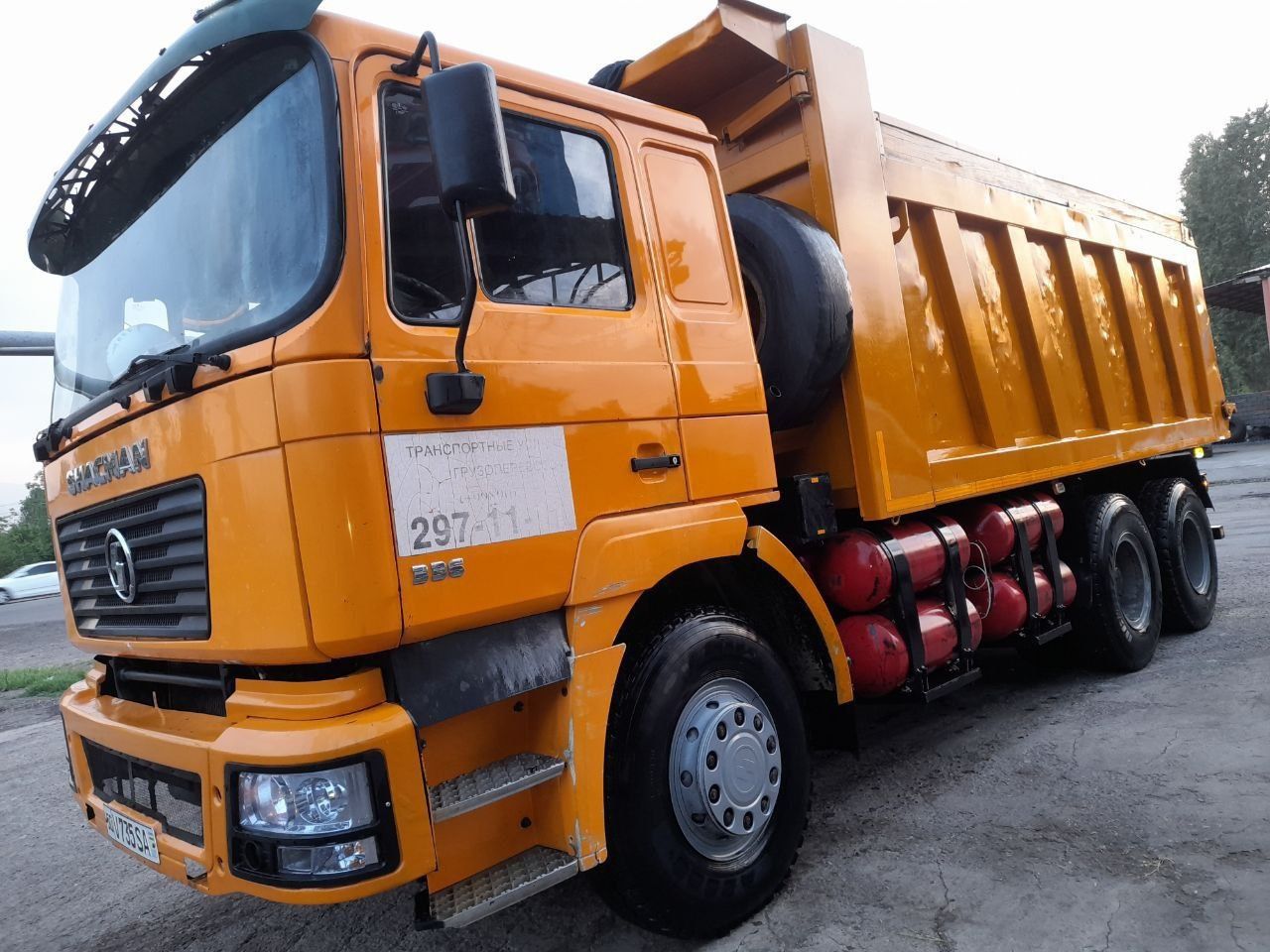 Shacma sotiladi 30000$