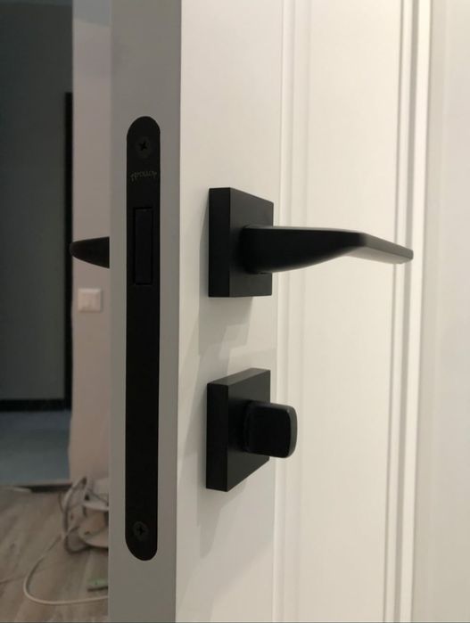 установка межкомнатных  дверей.
Профессион