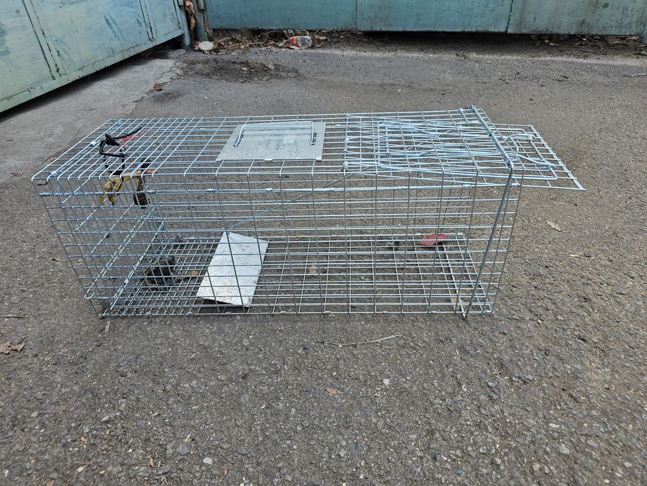 Ловушки капканы котоловка для животных капкан отлов собак лис