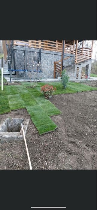 Amenajari gradini , gazon rulou&plante