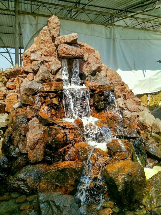 Gazon, Landshaft, Bog'bonchilik - Professional Xizmatlar | Toshkent