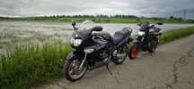 Suzuki gsx 600f categoria A2
