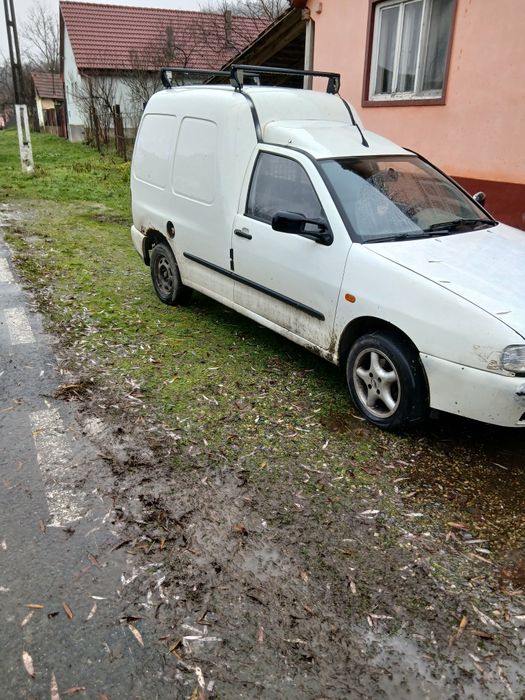 Vând kedi wolzvaghen