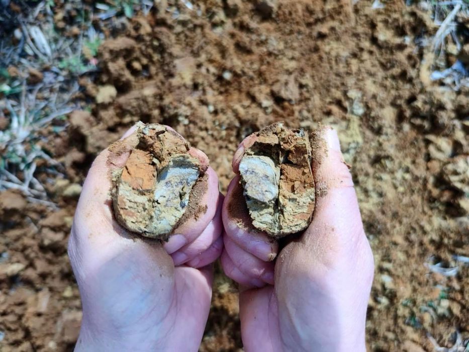 Studii geotehnice Constanta si Tulcea