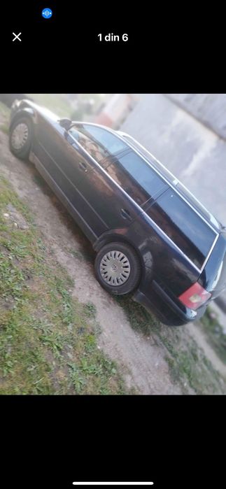 Vând vitei sau schimb