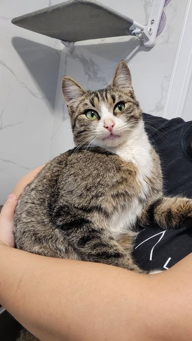 Отдадим в самые добрые руки