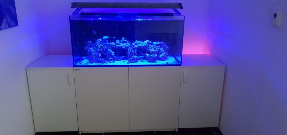 Acvariu marin Red Sea 425 XL