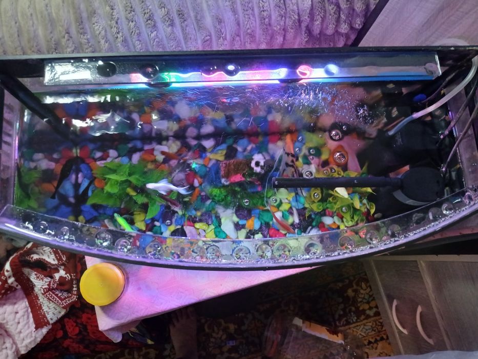 Продаю срочно аквариум