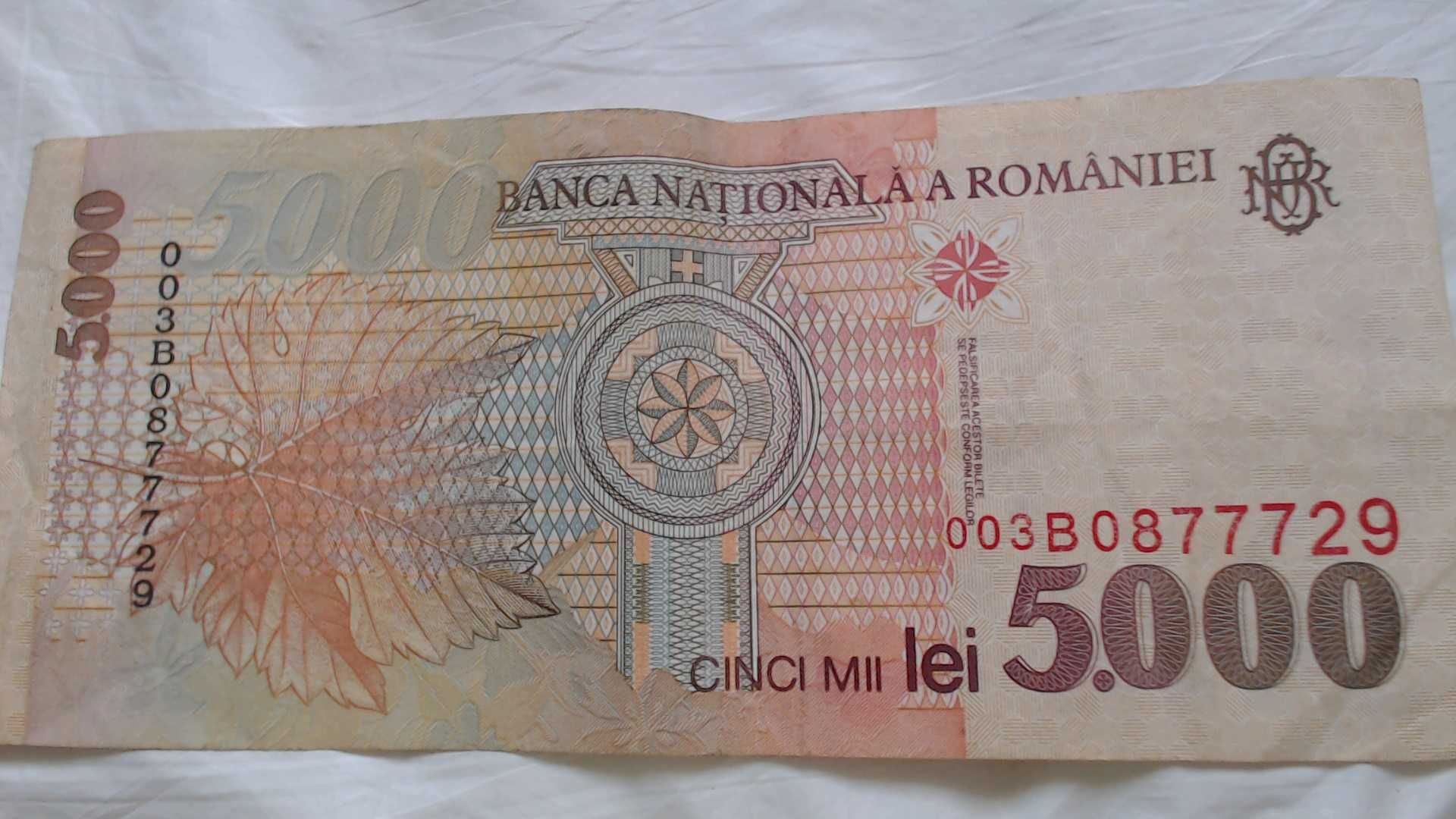 Bancnota 5000 lei BNR din 1998