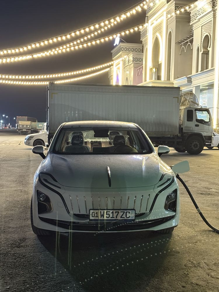 Hongqi eqm-5 elektr