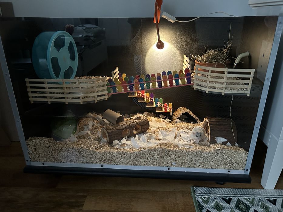 Cusca hamster 80/40