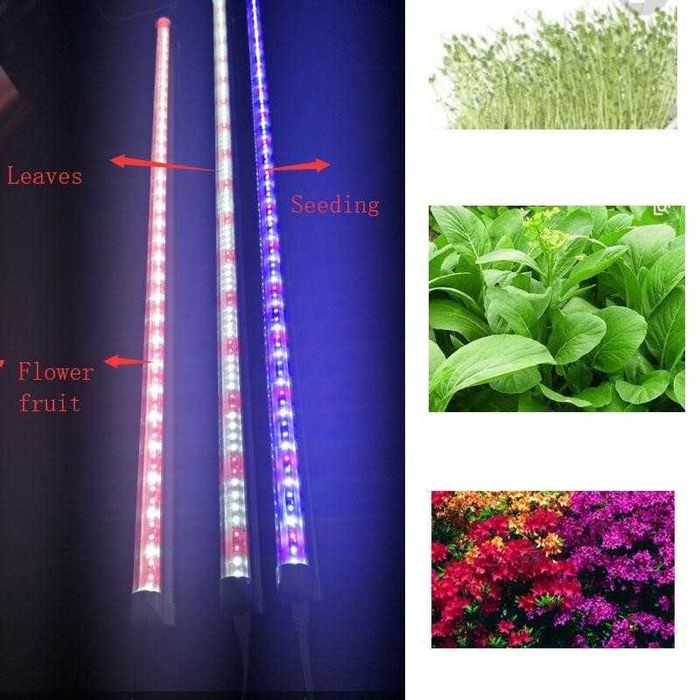 фито лампы полного спектра дневного света для растений