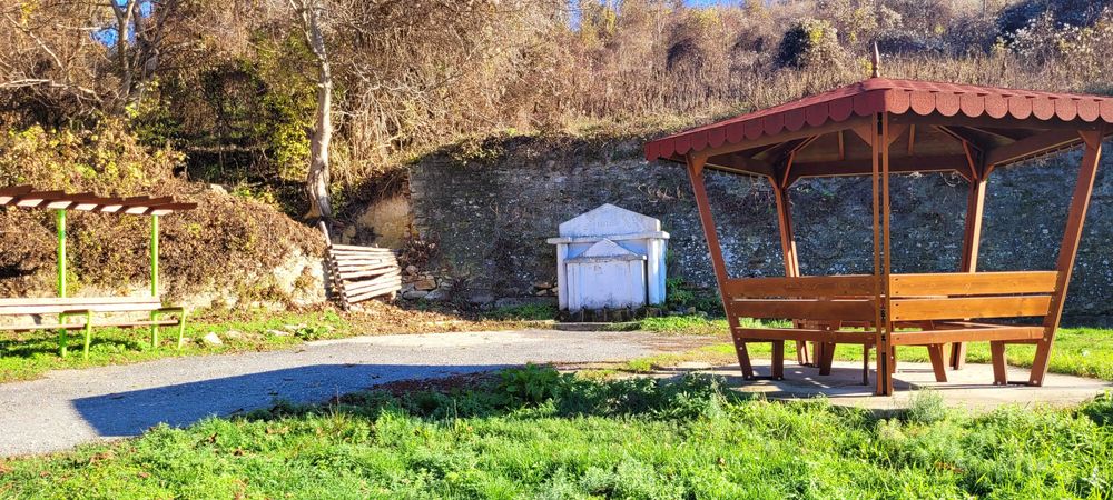 Къща с голям двор, пещ и допълнителни постройки – отлична цена!