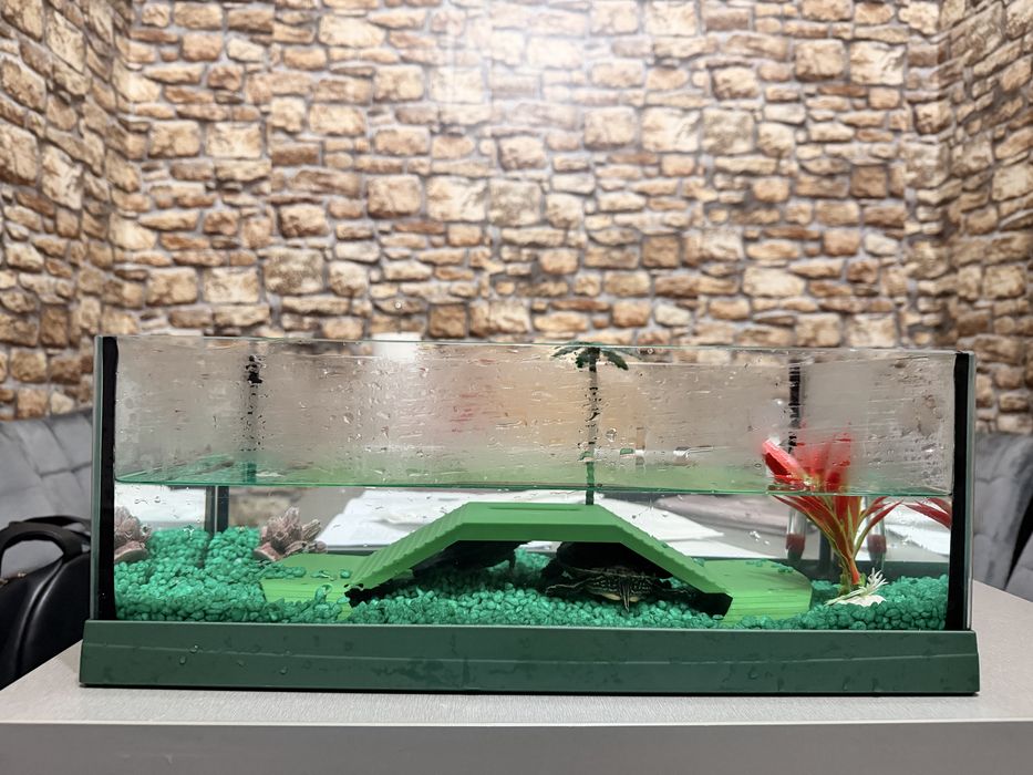 Vand 2 broaste testoase