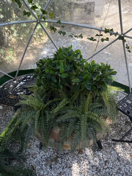 Plante artificiale